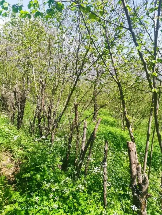 تصویر املاک 120748