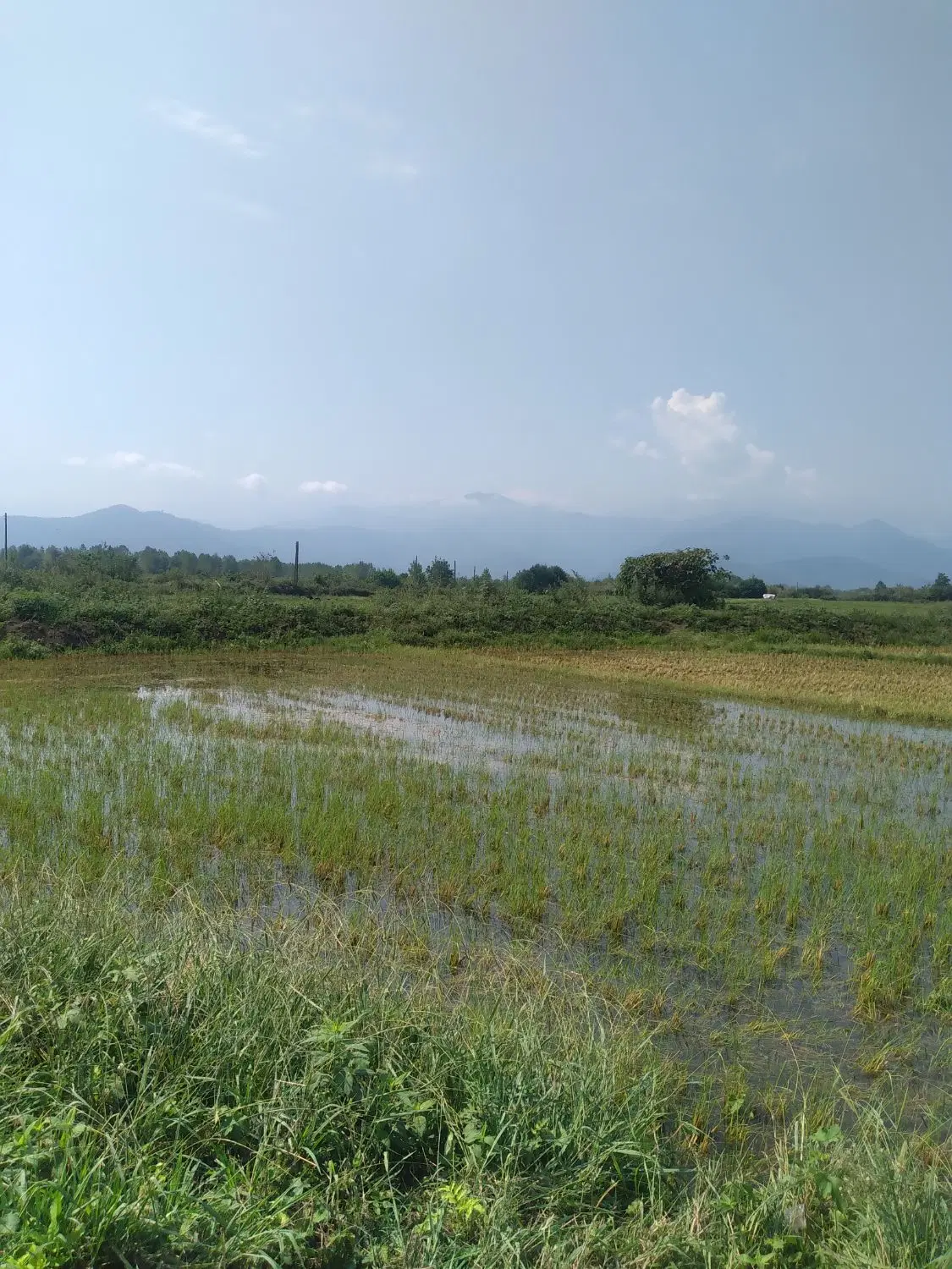 تصویر املاک 130955
