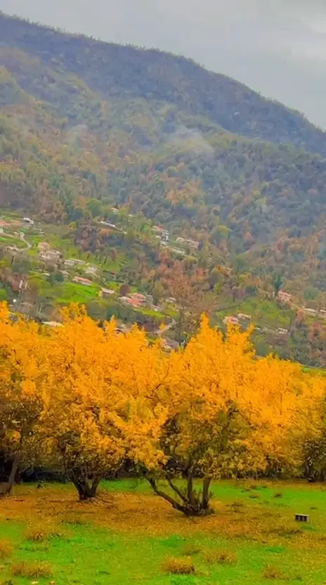 تصویر املاک 86361