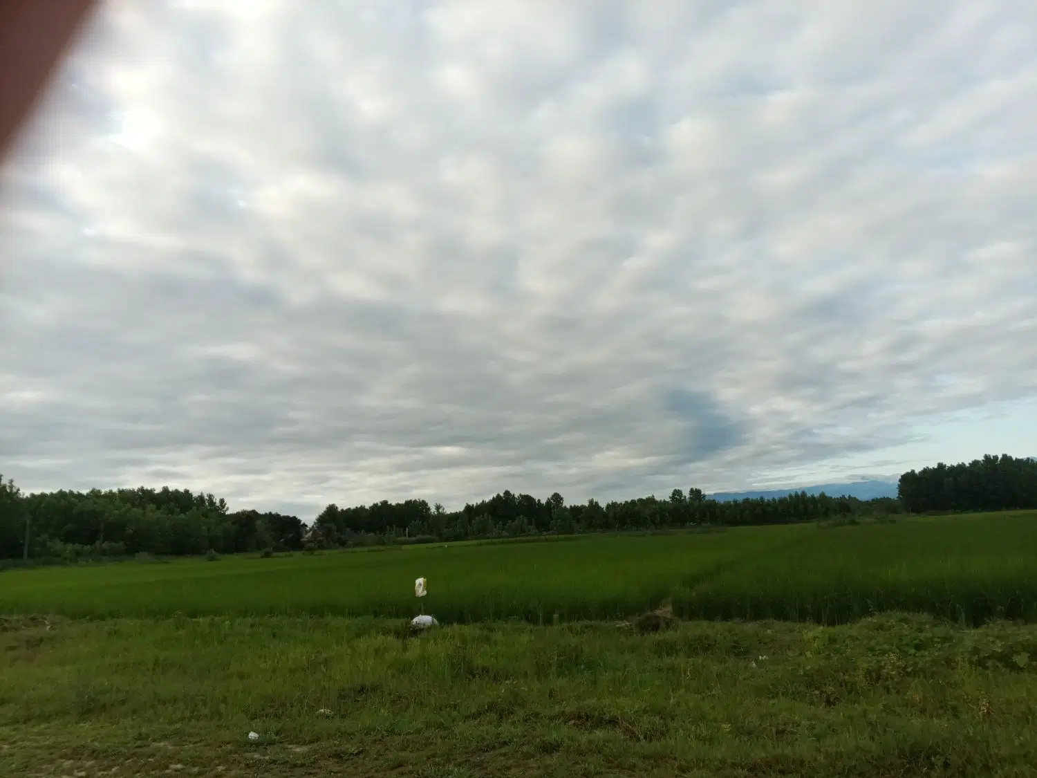 تصویر املاک 83075
