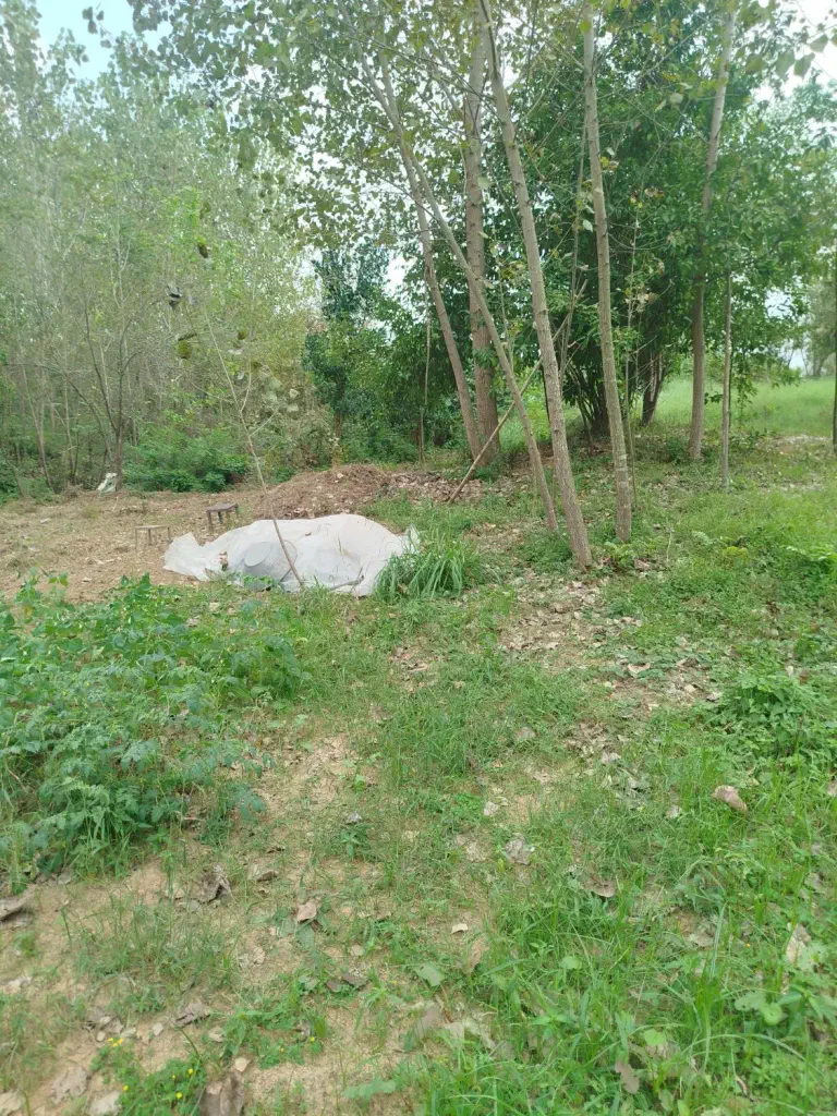 تصویر املاک 140065