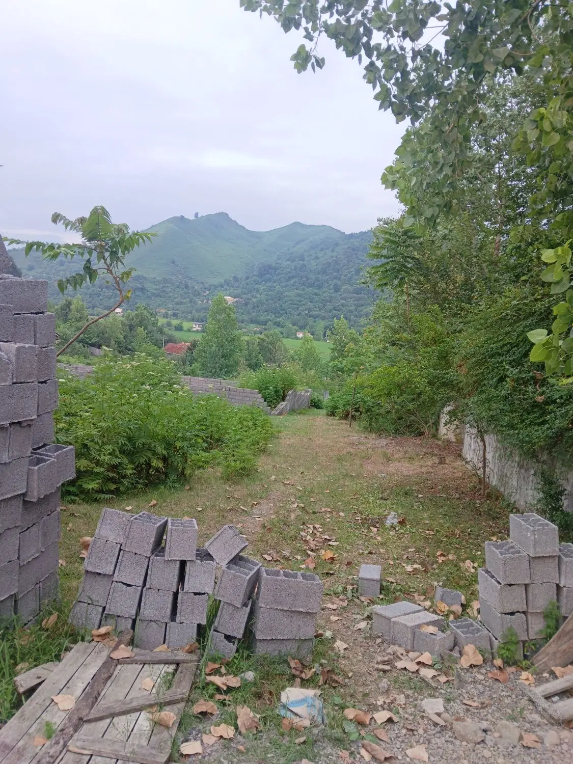 تصویر املاک 131782