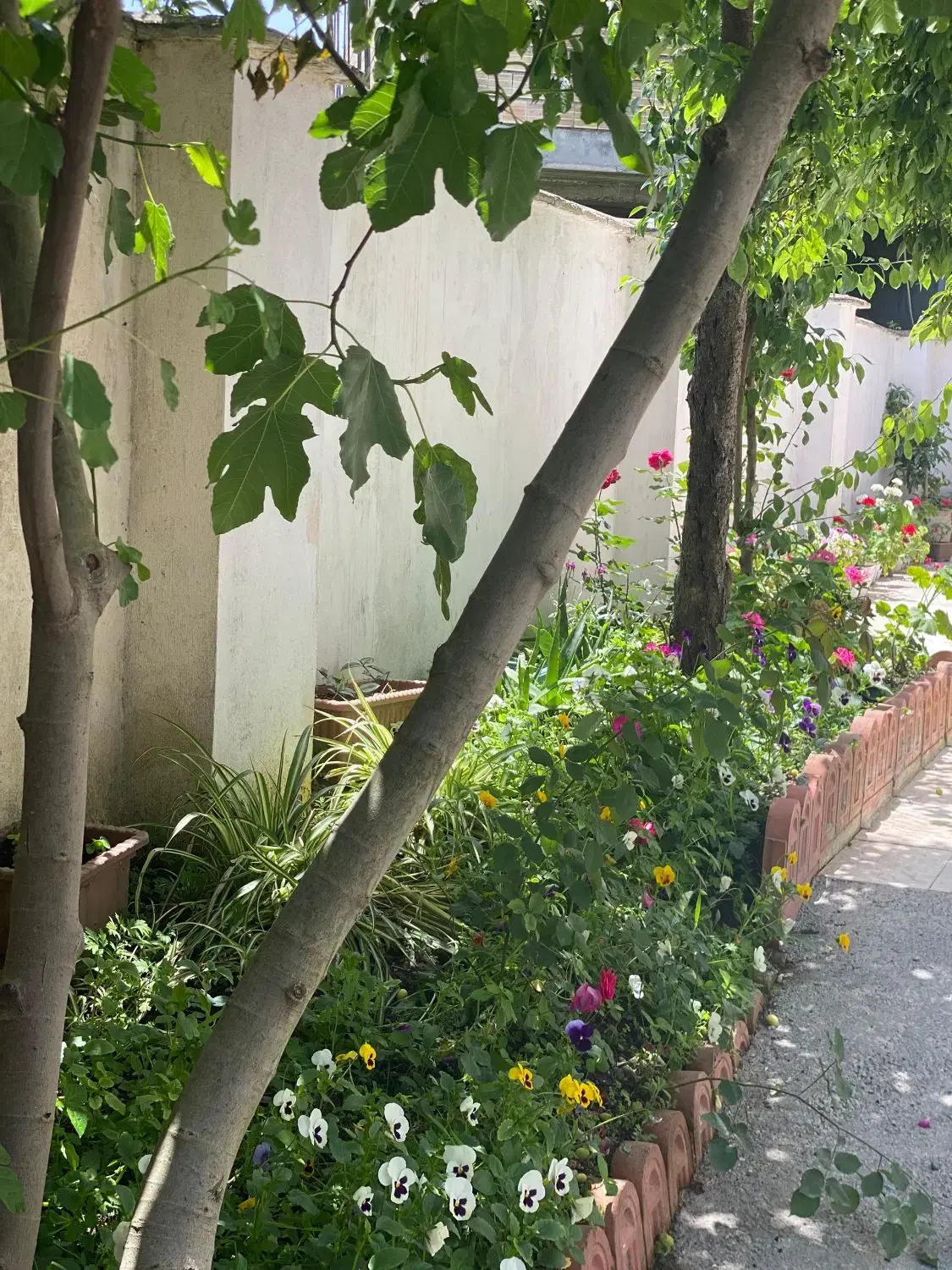 تصویر املاک 112183