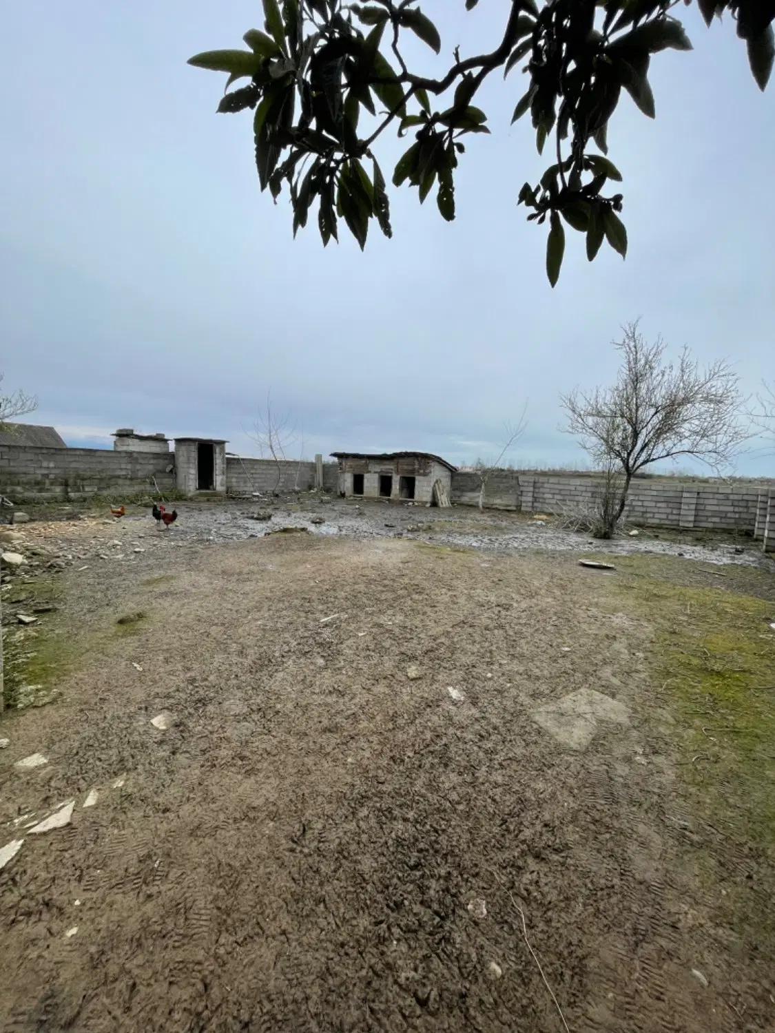 تصویر املاک 42165