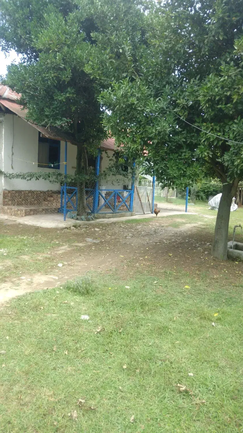 تصویر املاک 96655
