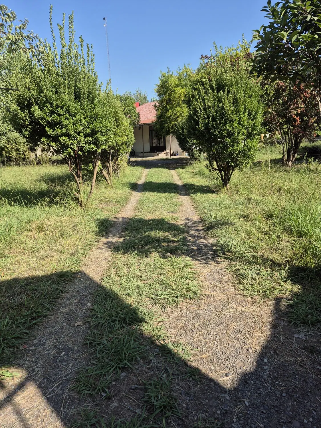 تصویر املاک 133606