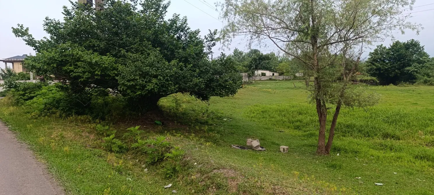 تصویر املاک 53252