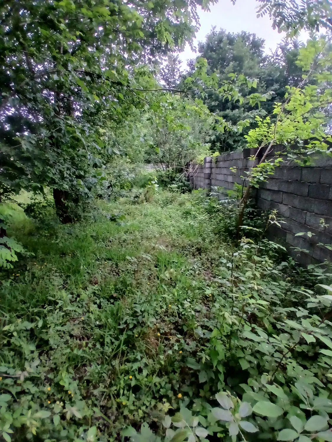 تصویر املاک 77833