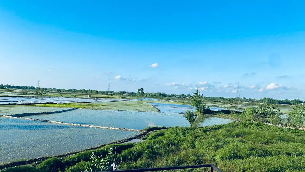 تصویر املاک 62160