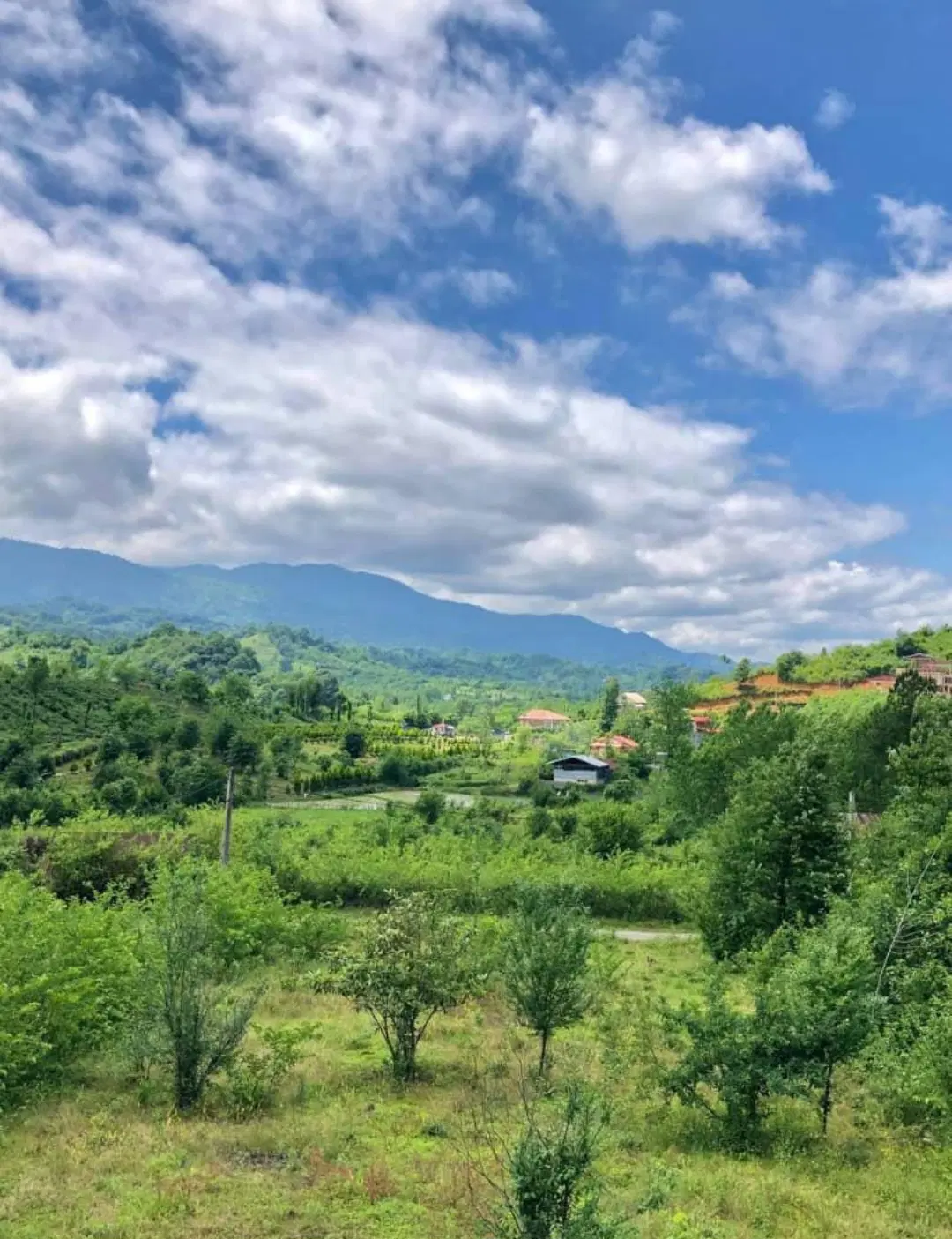 تصویر املاک 86947