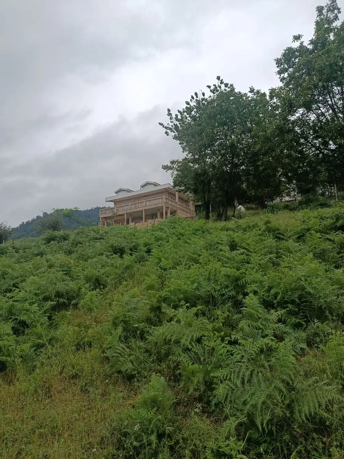 تصویر املاک 79469