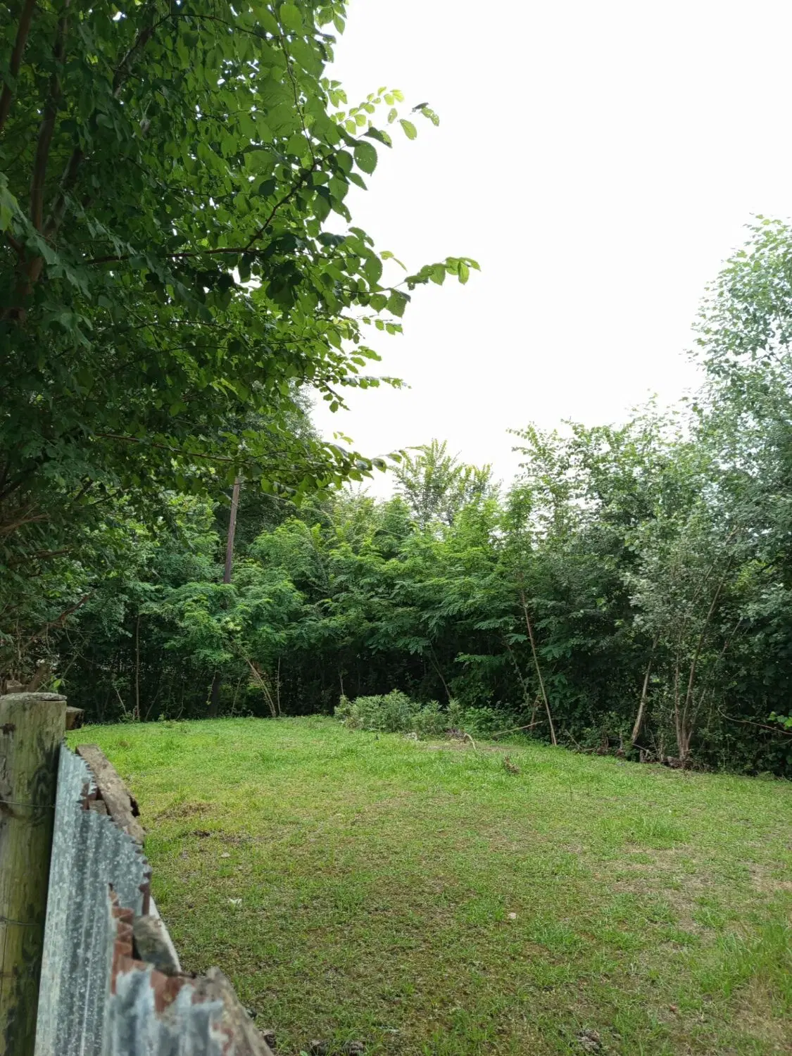 تصویر املاک 106324