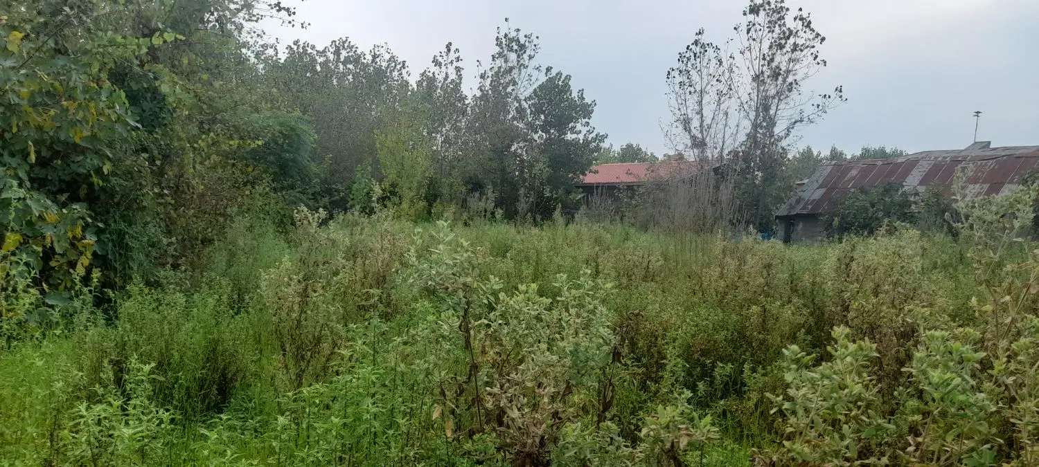 تصویر املاک 123118
