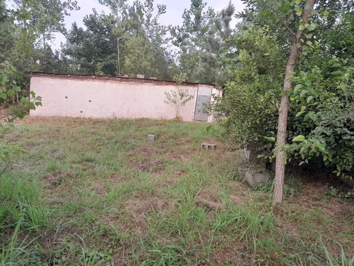 تصویر املاک 105606
