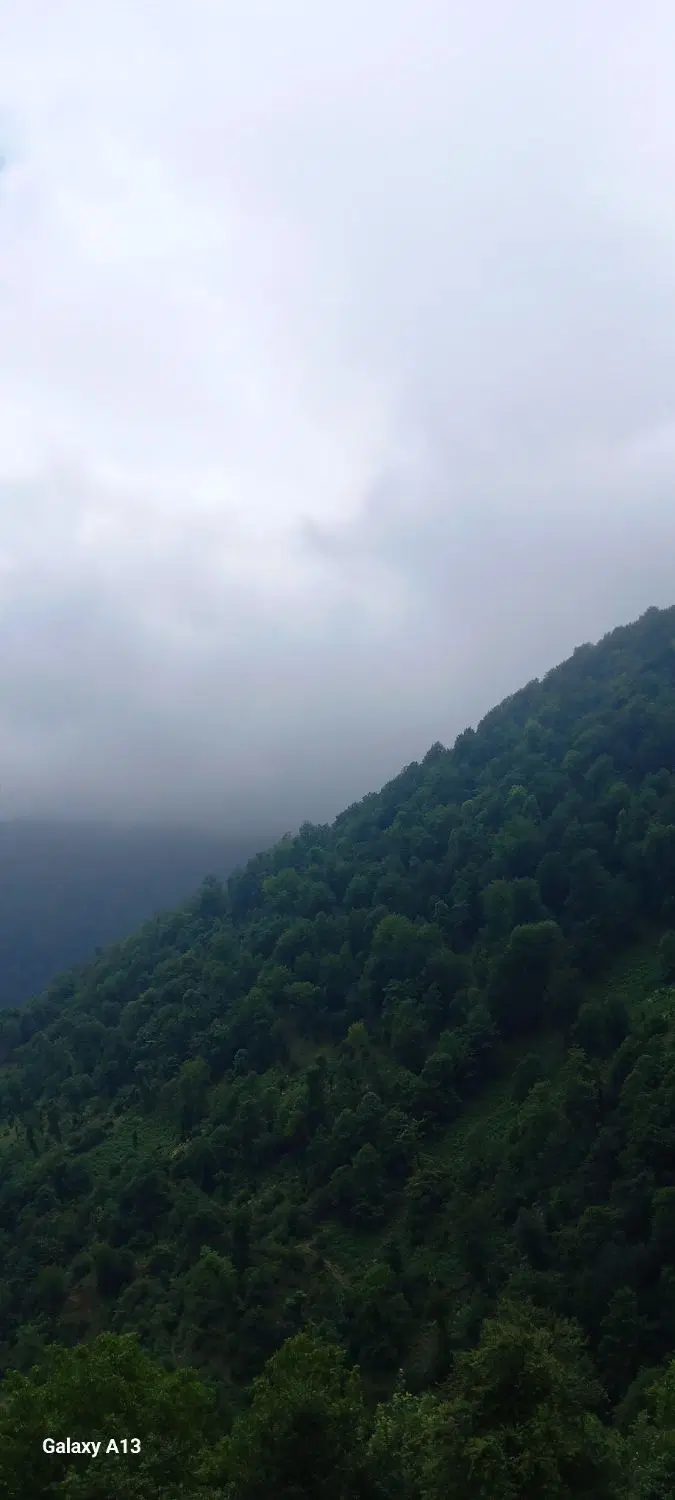 تصویر املاک 107809