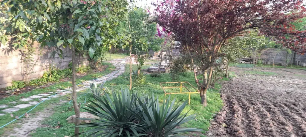 تصویر املاک 142389