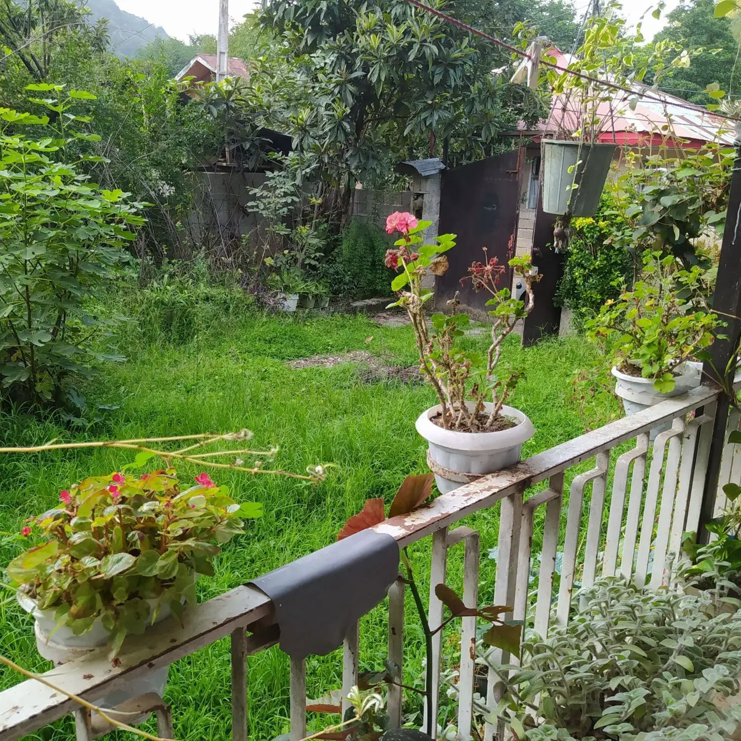 تصویر املاک 66335