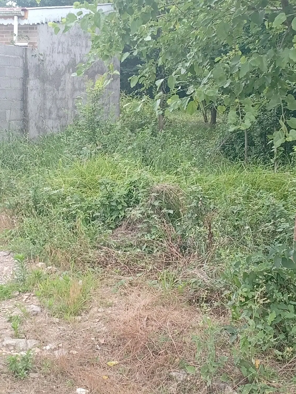 تصویر املاک 141146