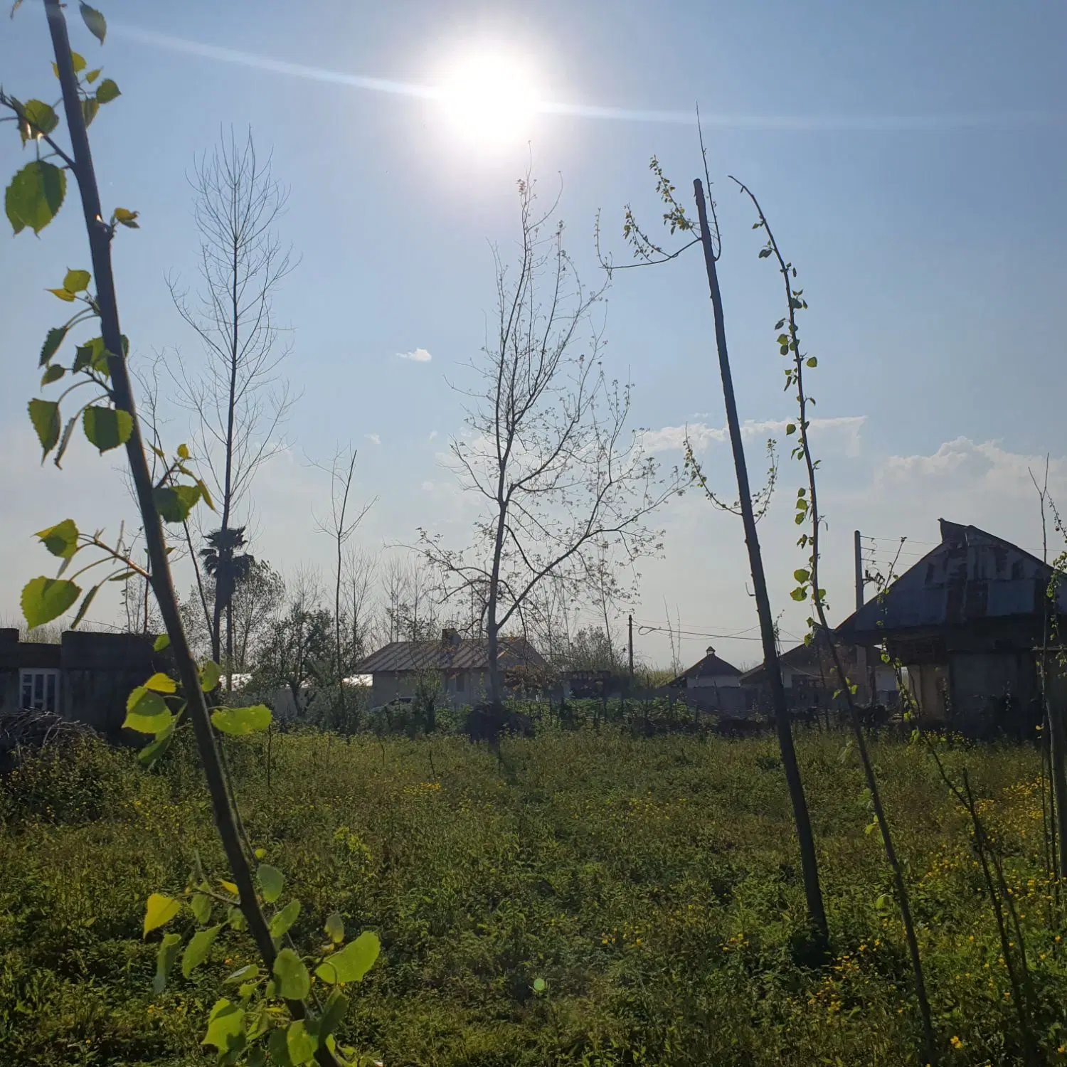 تصویر املاک 87141