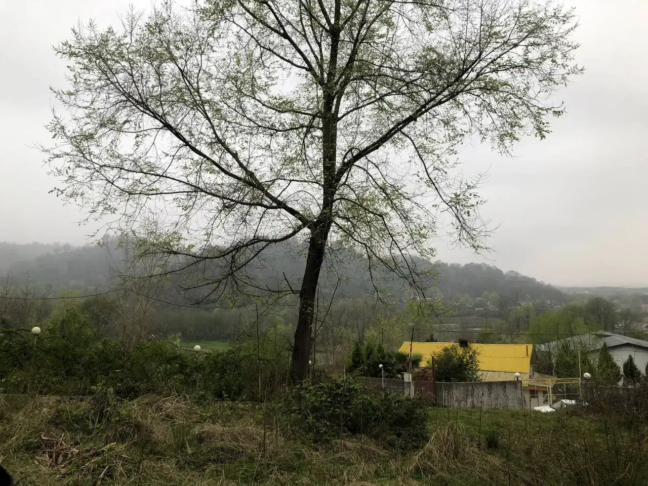 تصویر املاک 38819