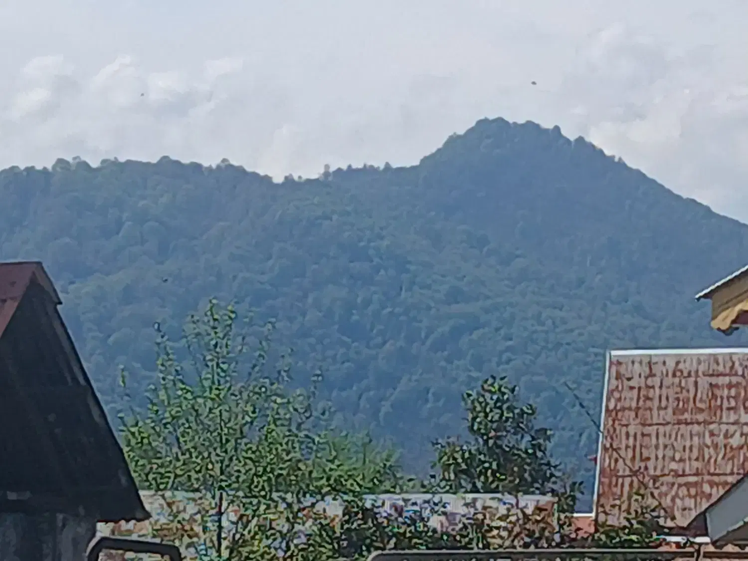 تصویر املاک 71729