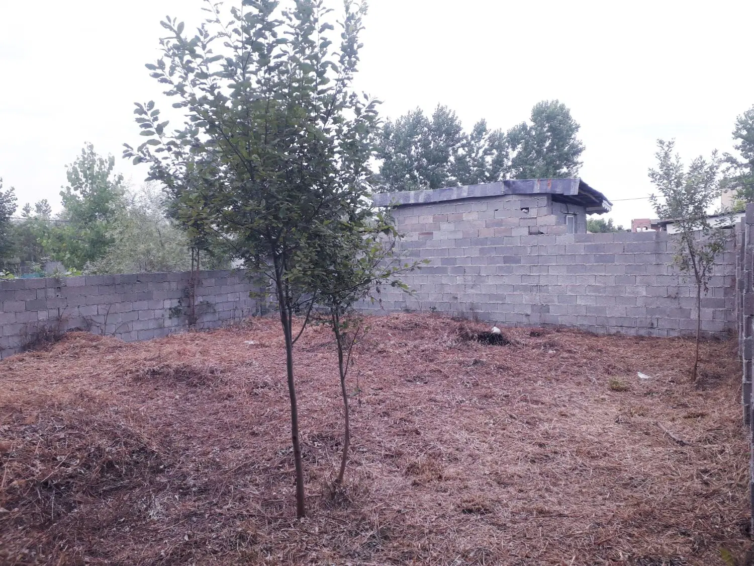 تصویر املاک 84858