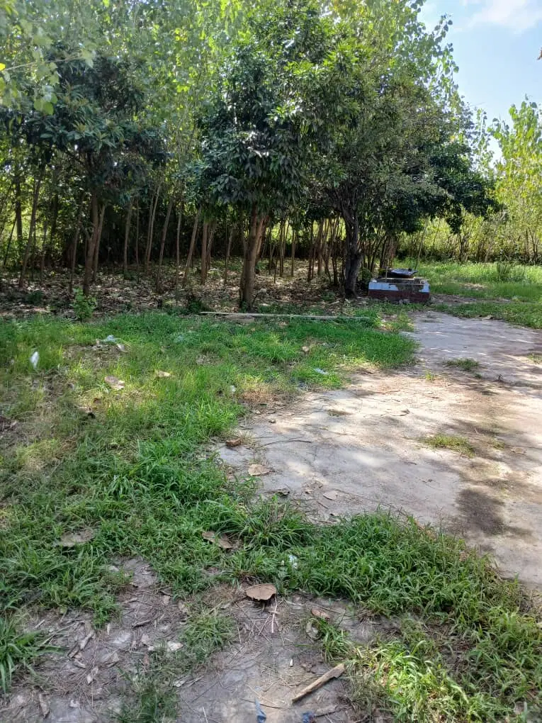 تصویر املاک 79675