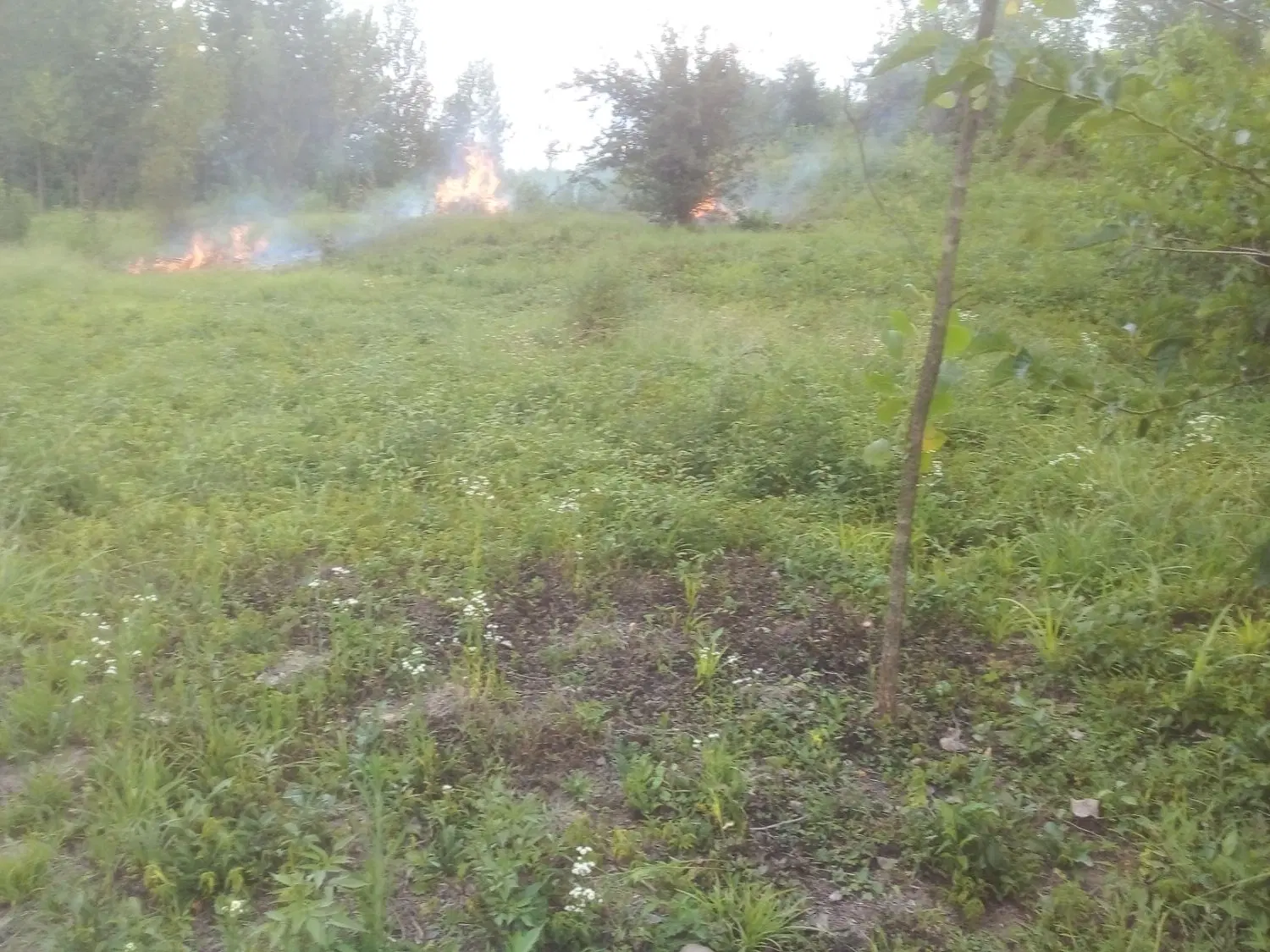 تصویر املاک 141550