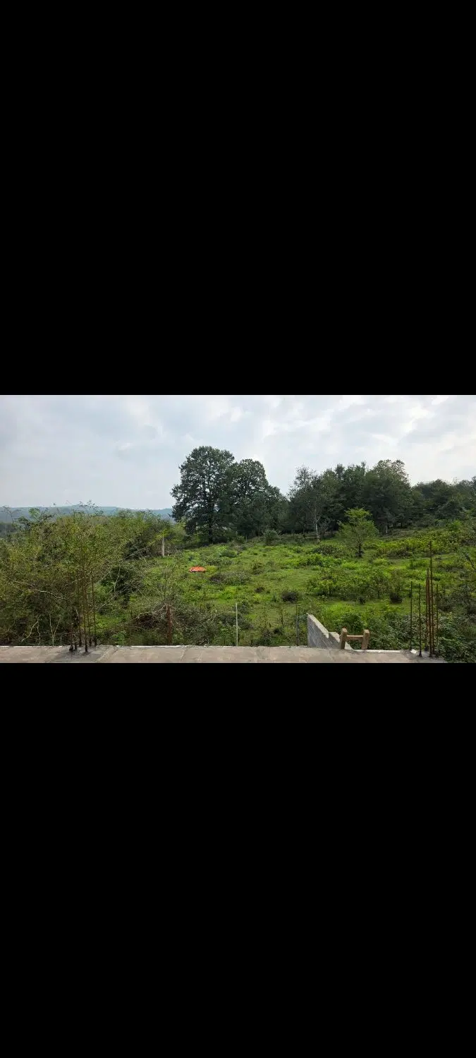 تصویر املاک 101286