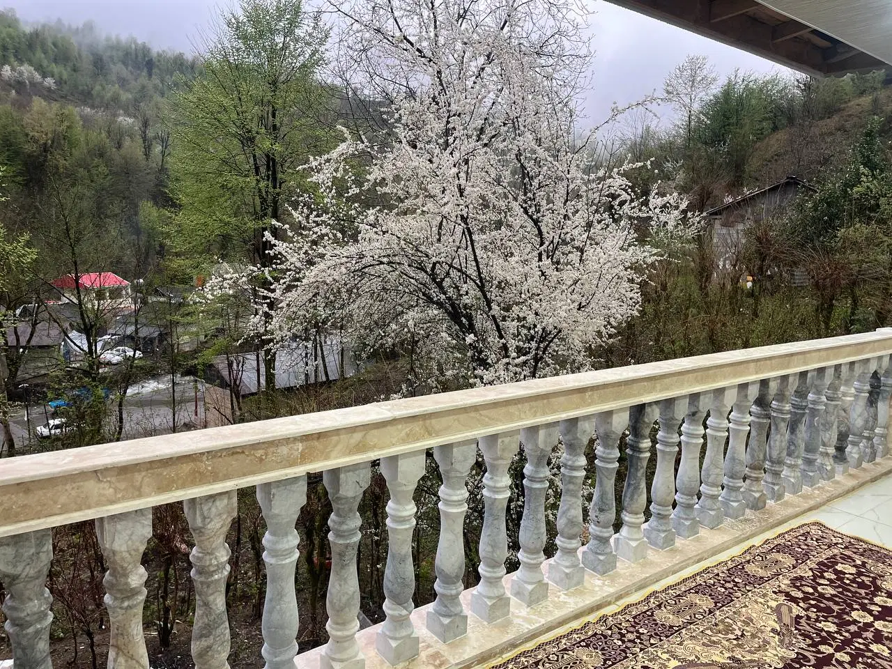 تصویر املاک 64609