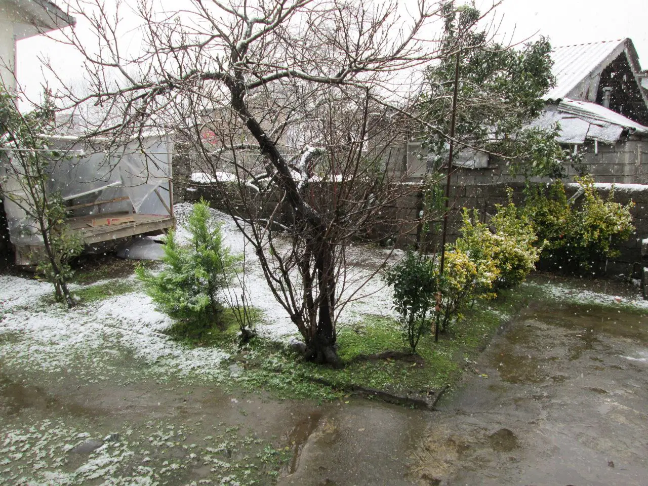 تصویر املاک 85865