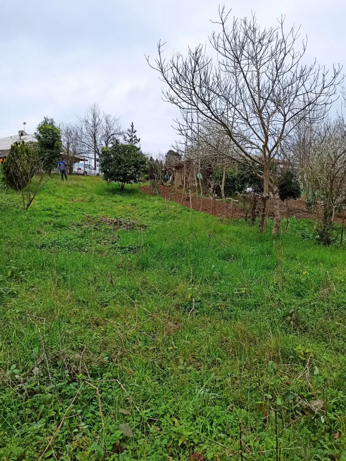 تصویر املاک 43089