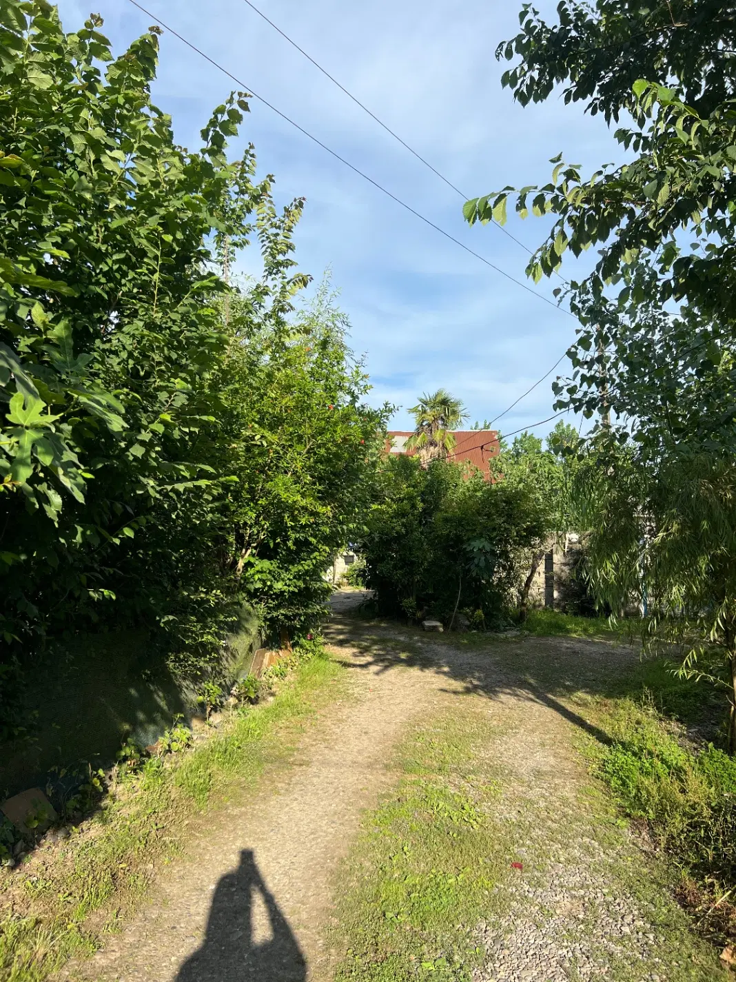 تصویر املاک 46274