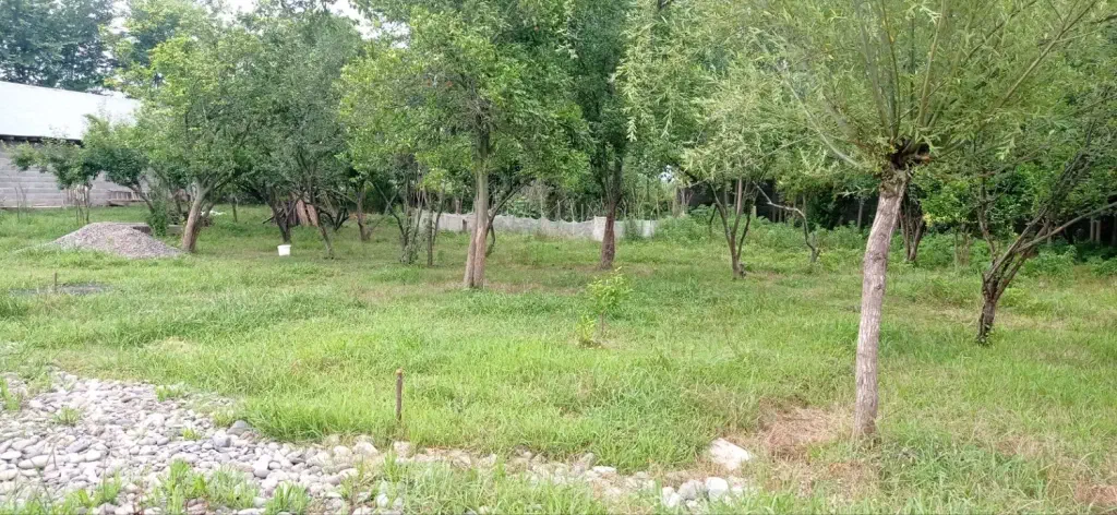 تصویر املاک 138724