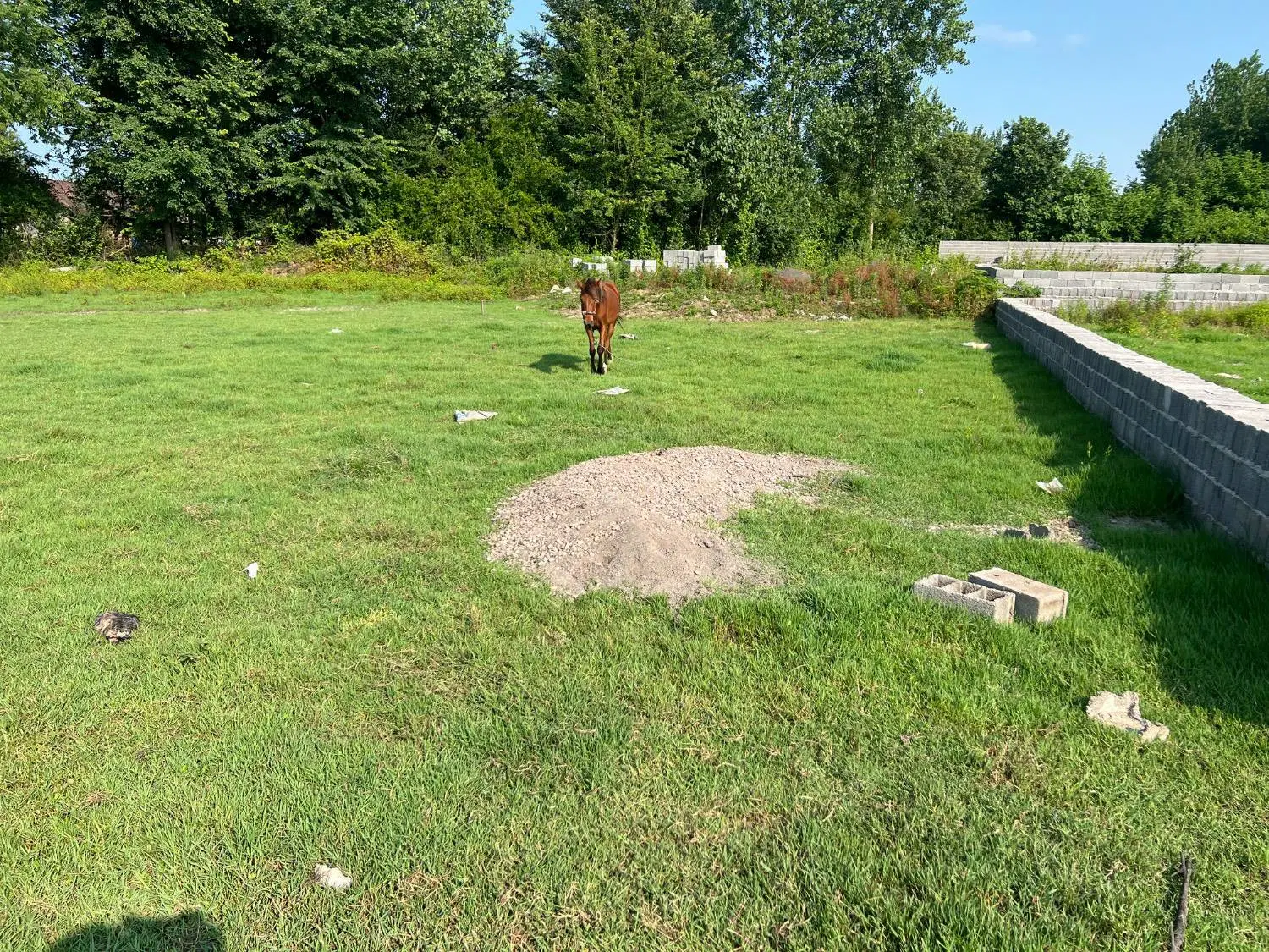 تصویر املاک 77368