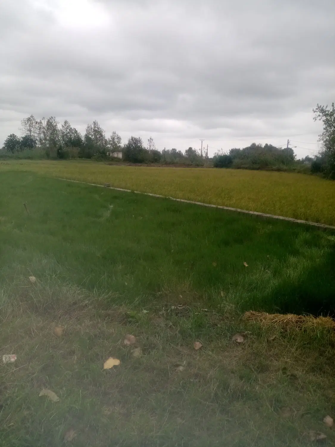تصویر املاک 141844