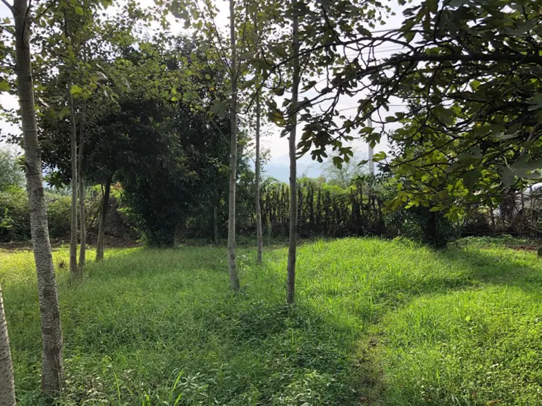 تصویر املاک 49604