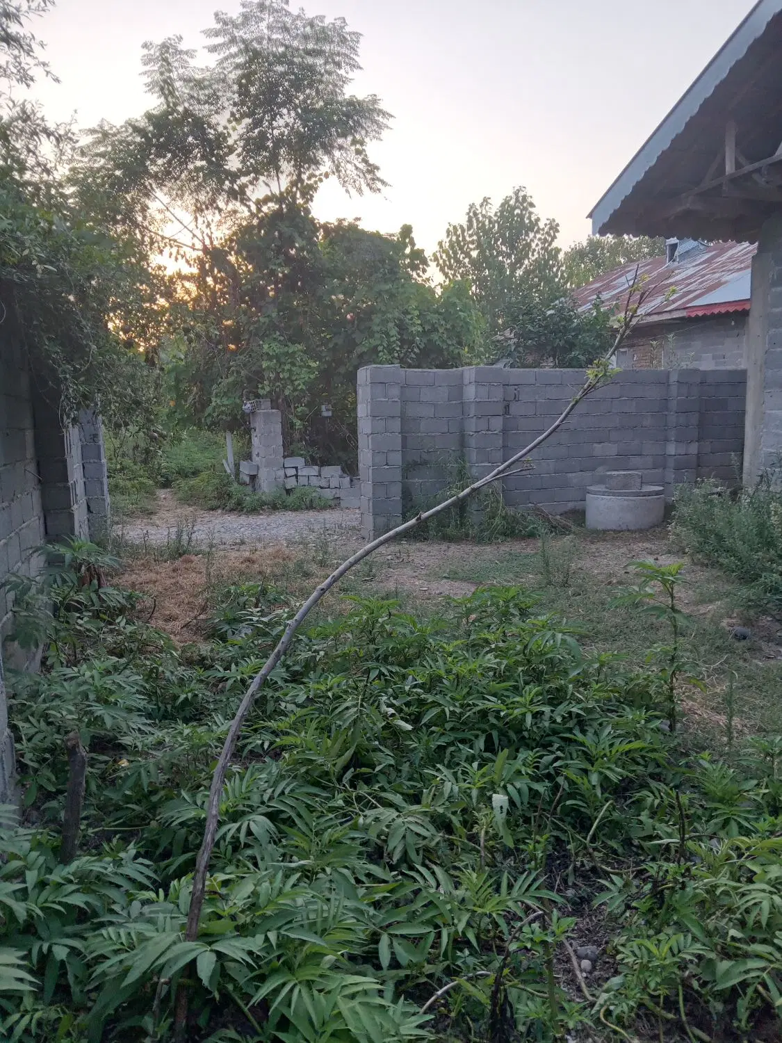تصویر املاک 108831