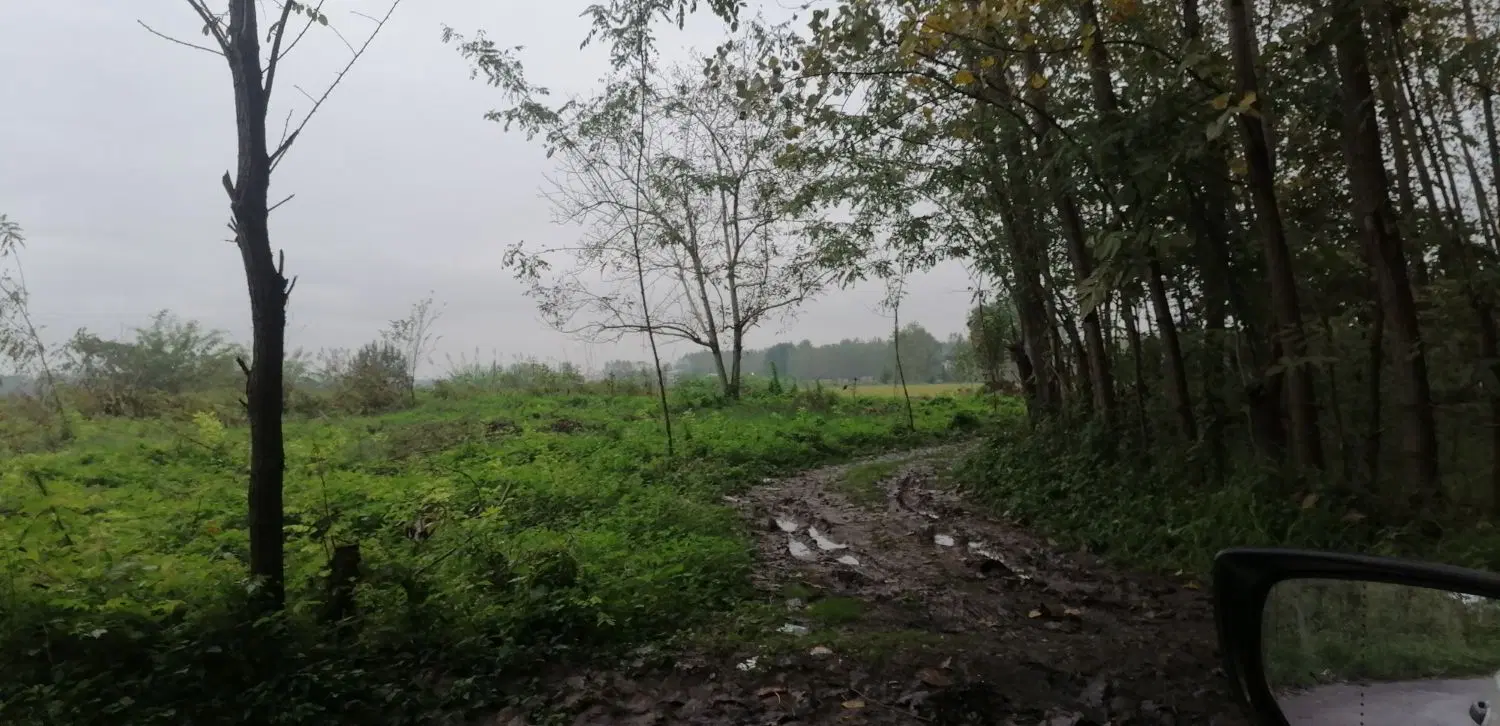تصویر املاک 144567