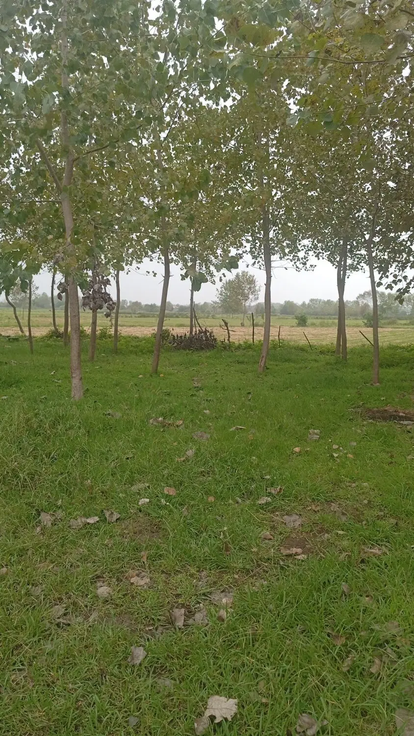 تصویر املاک 126159