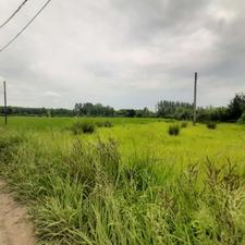 تصویر املاک 134928
