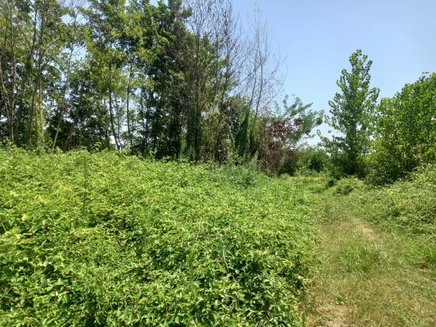 تصویر املاک 100660