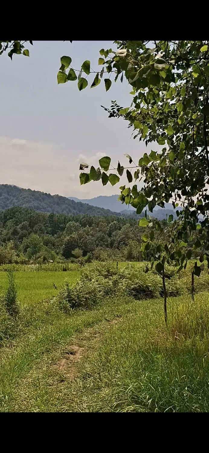 تصویر املاک 77844
