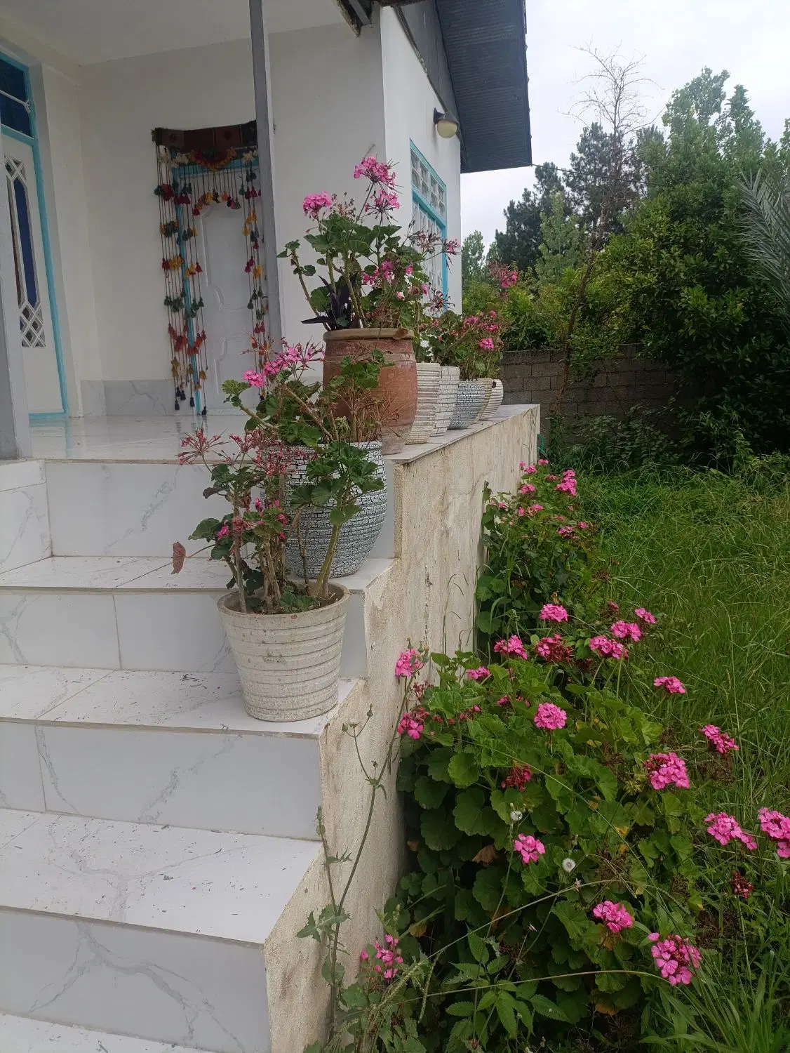 تصویر املاک 109049