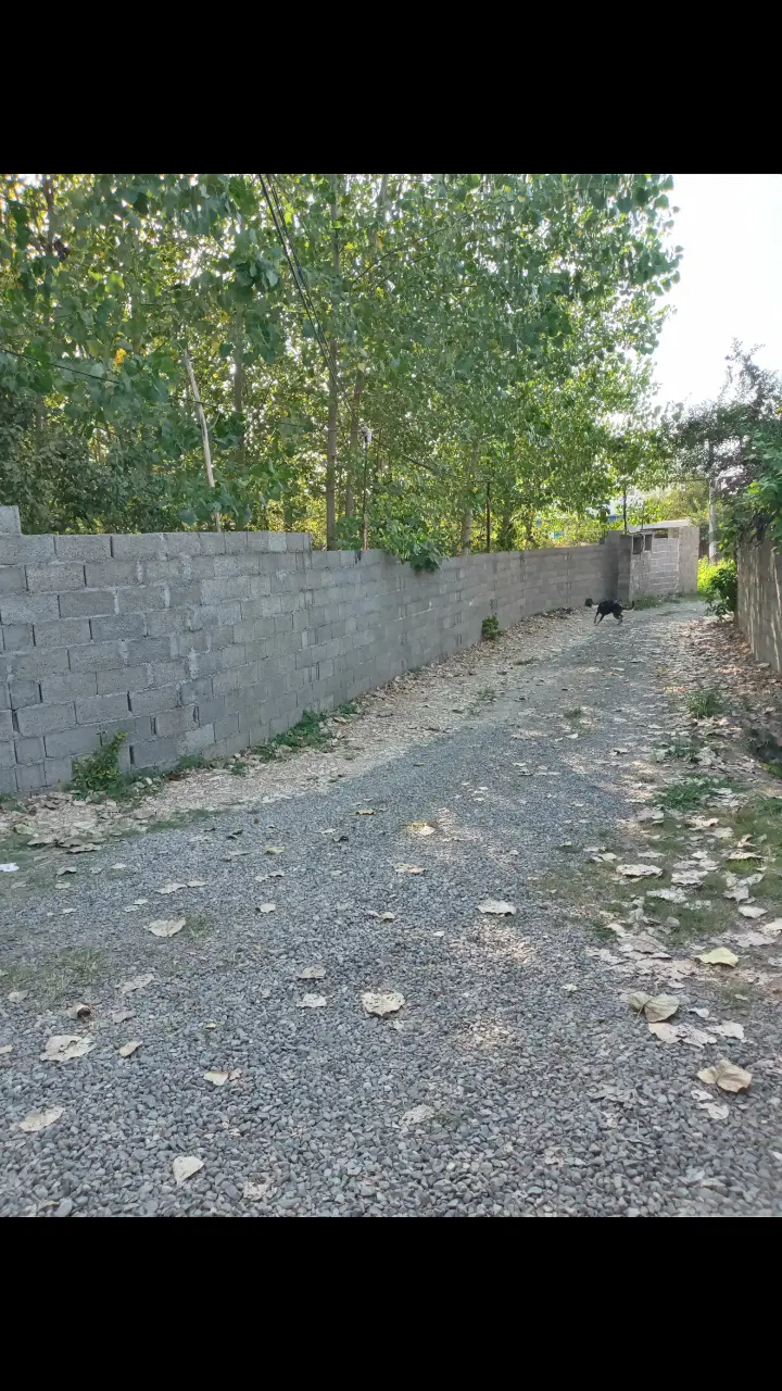 تصویر املاک 114996