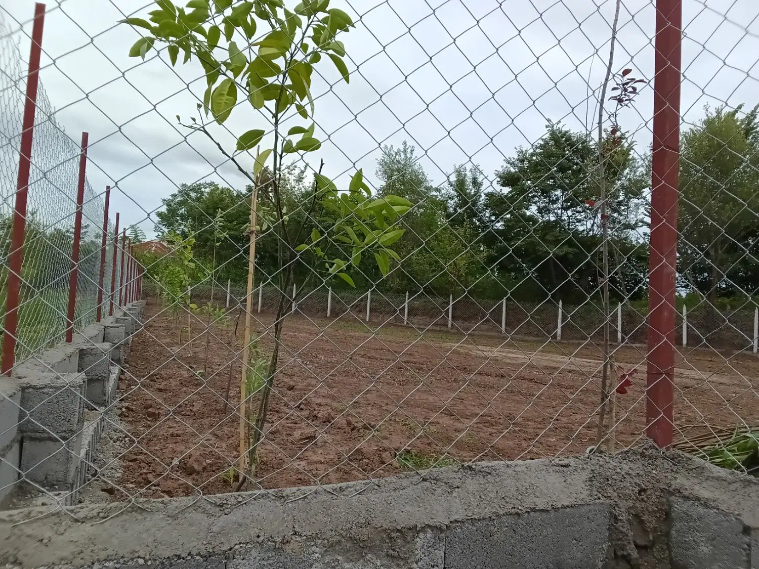 تصویر املاک 65045