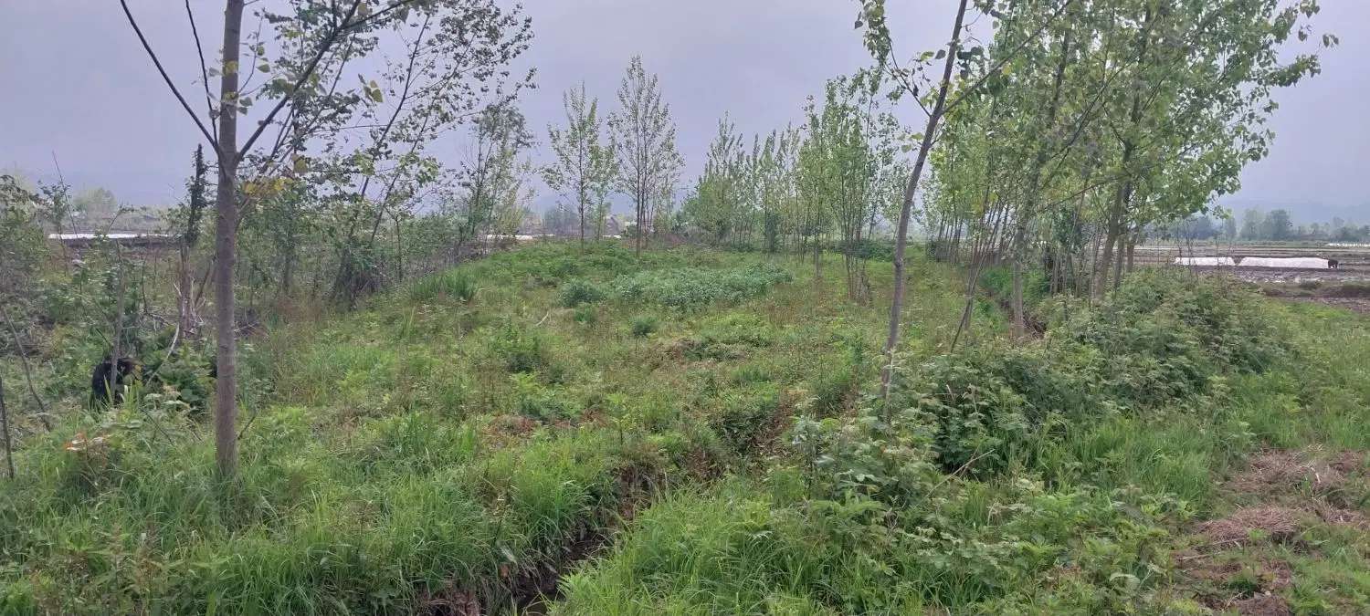 تصویر املاک 143595