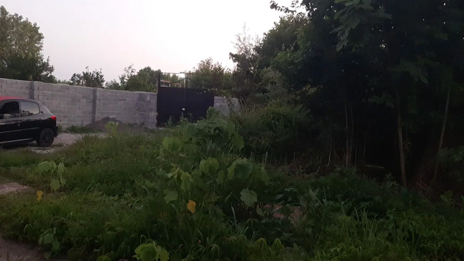 تصویر املاک 98697