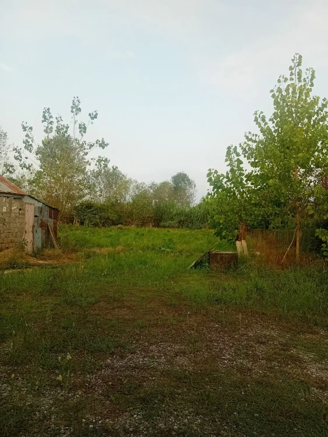 تصویر املاک 103184