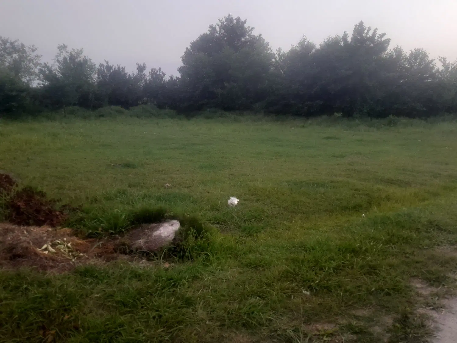 تصویر املاک 112864
